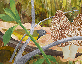 Landscape and Wildlife Thumbnail